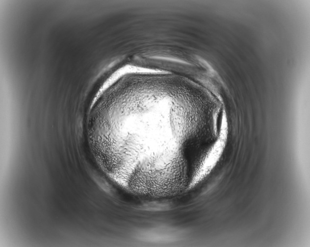 X0000085780447200704091415