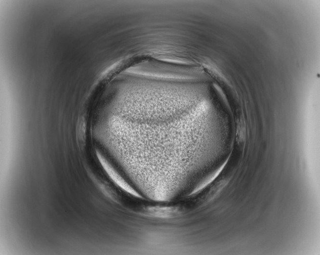 X0000085780448200704091415