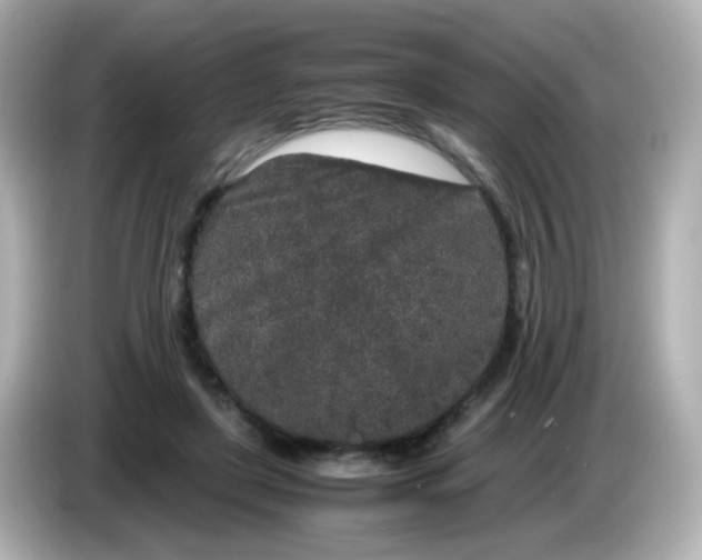 X0000085780451200704091415