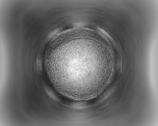 X0000085780452200704091415