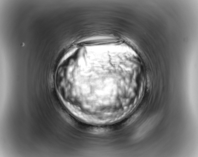 X0000085780453200704091415