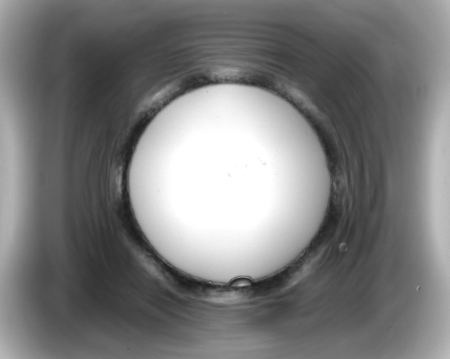 X0000085780454200704091415