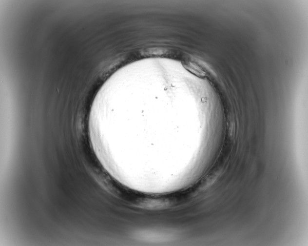 X0000085780455200704091415