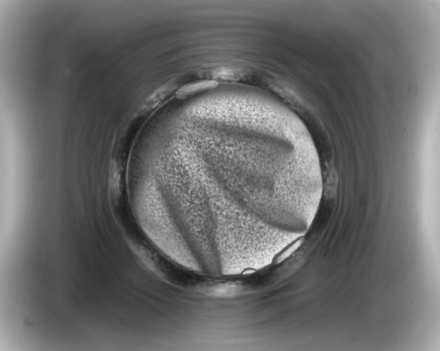 X0000085780456200704091415