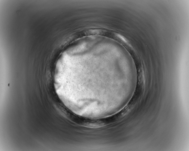 X0000085780459200704091415