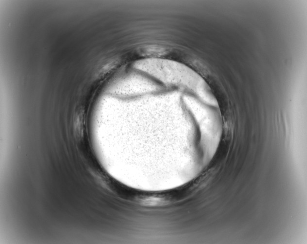 X0000085780460200704091415