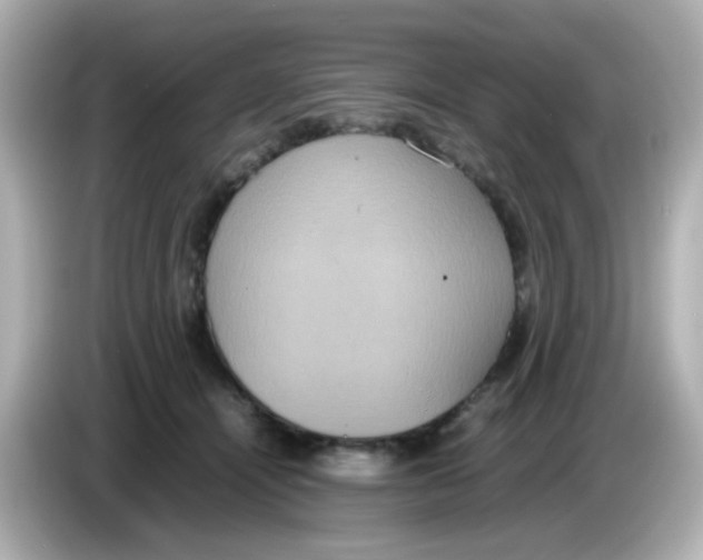 X0000085780464200704091415