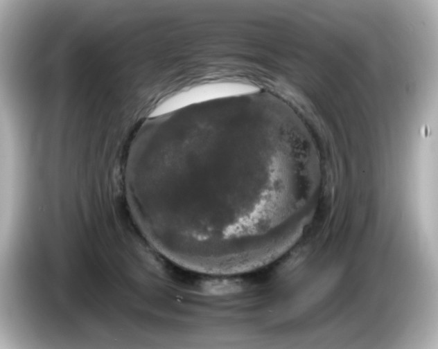 X0000085780465200704091415