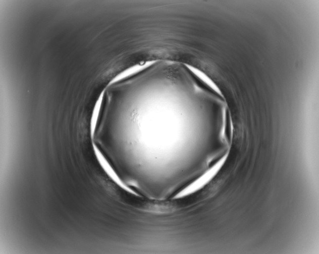 X0000085780466200704091415