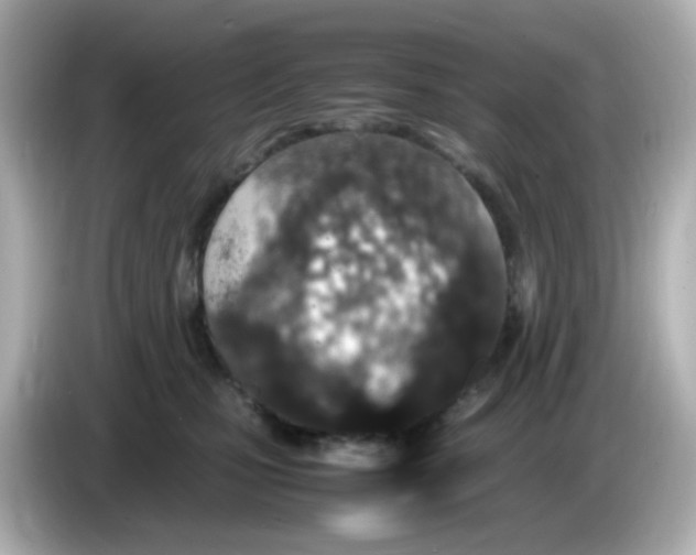 X0000085780471200704091415