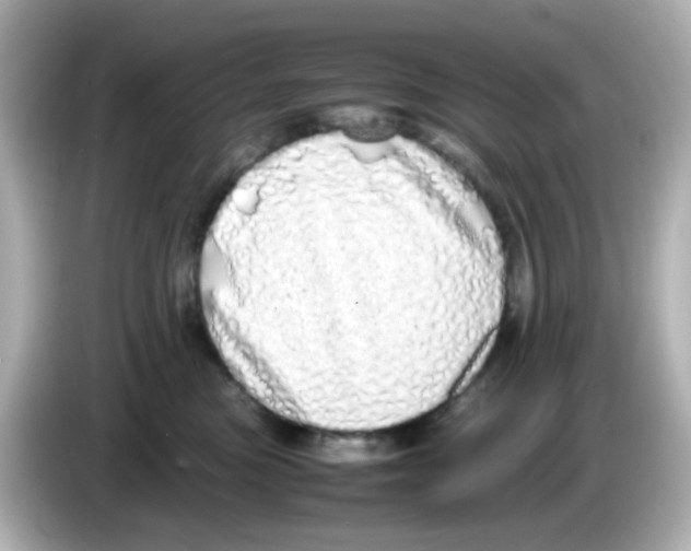 X0000085780473200704091415