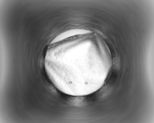 X0000085780474200704091415