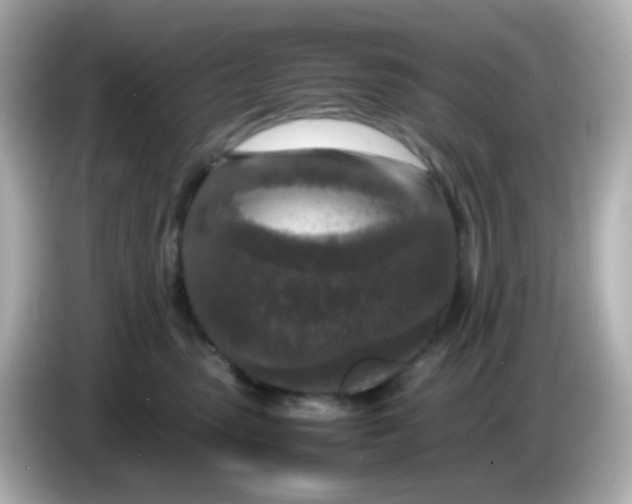 X0000085780475200704091415