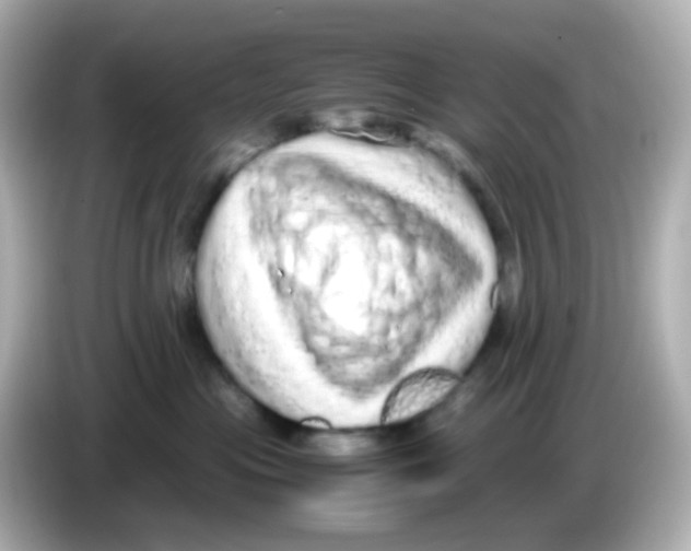 X0000085780477200704091415