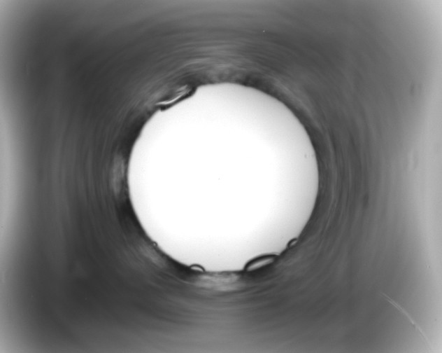 X0000085780480200704091415