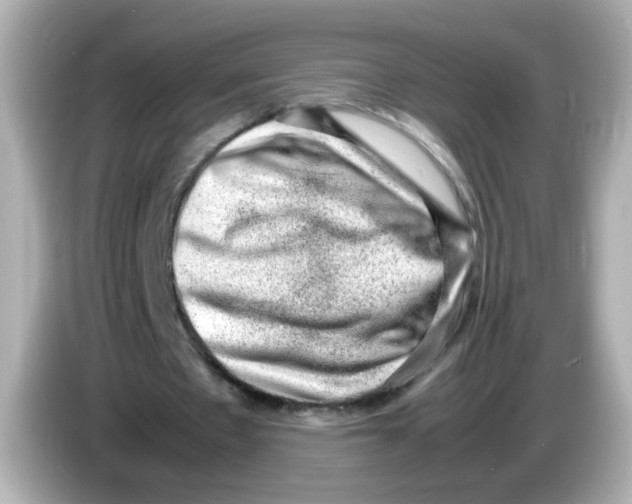 X0000085780481200704091414