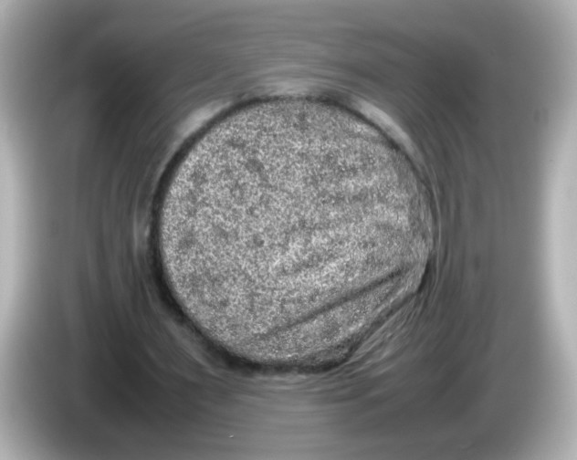 X0000085780483200704091414