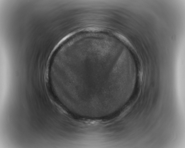 X0000085780484200704091414