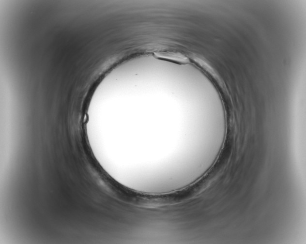 X0000085780485200704091414