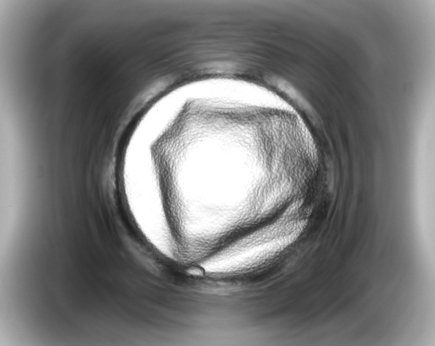 X0000085780486200704091414