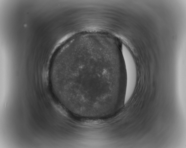 X0000085780488200704091414