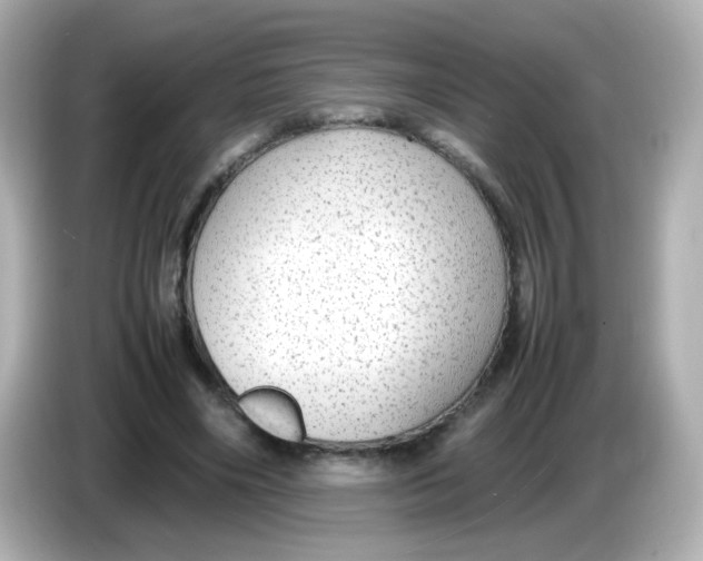 X0000085780490200704091414