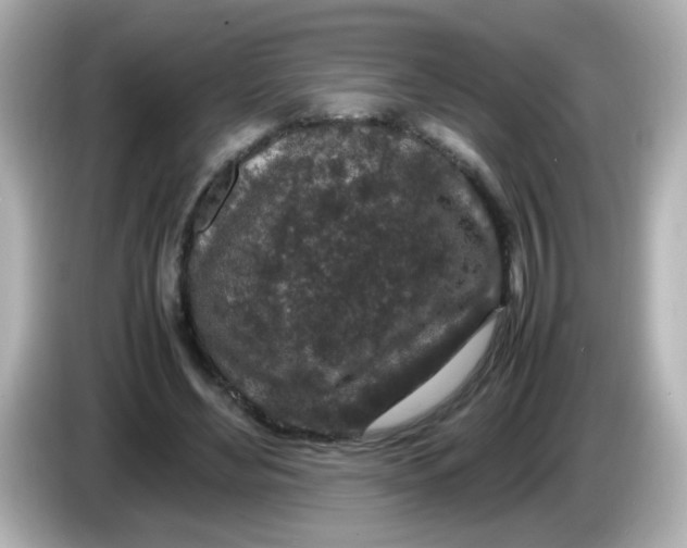 X0000085780492200704091414