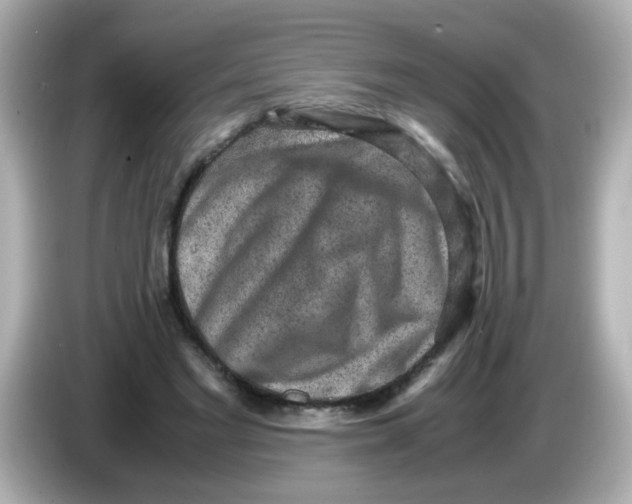 X0000085780493200704091414