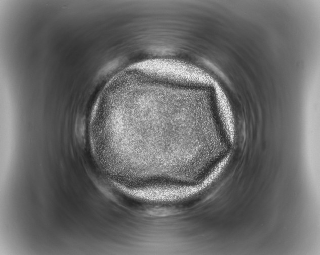 X0000085780494200704091414