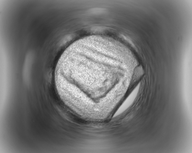 X0000085780495200704091414