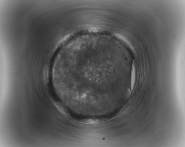 X0000085780496200704091414