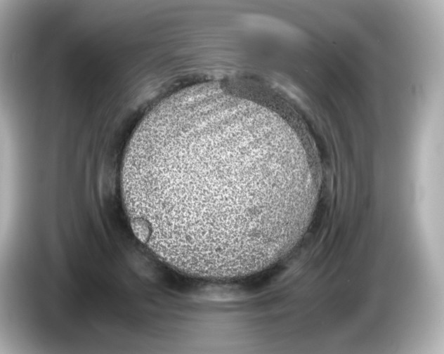 X0000085780499200704091414