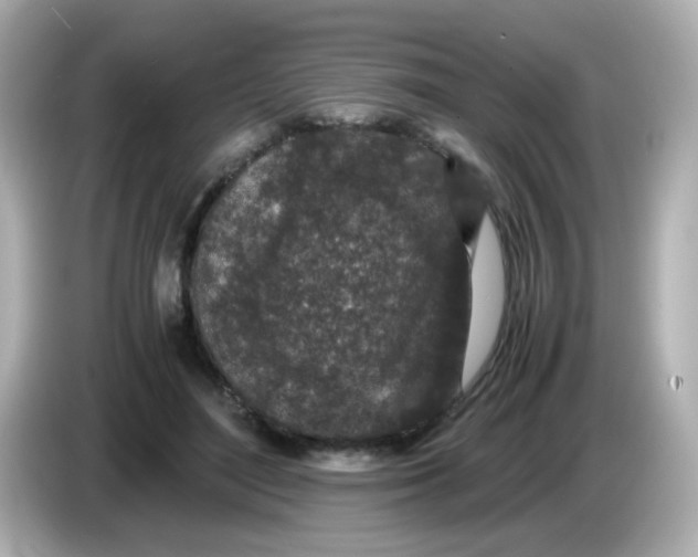 X0000085780500200704091414