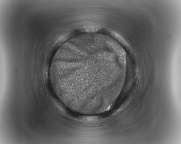 X0000085780501200704091414