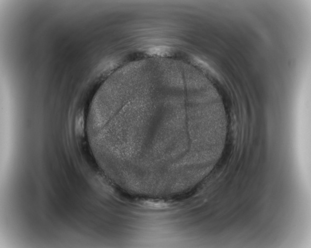 X0000085780502200704091414