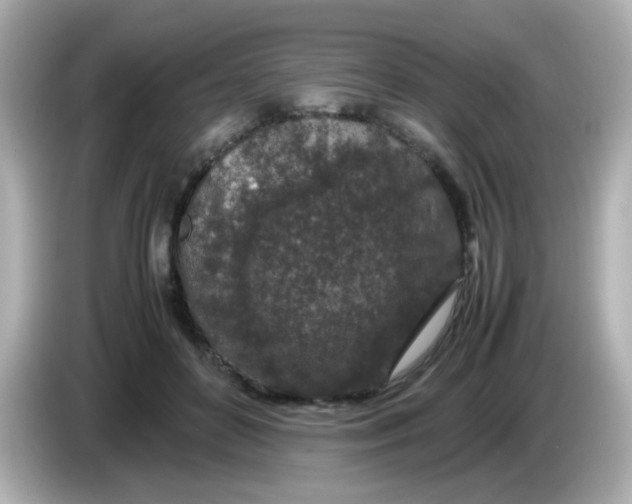 X0000085780504200704091414