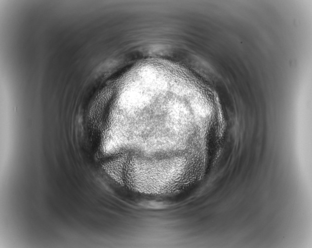 X0000085780506200704091414