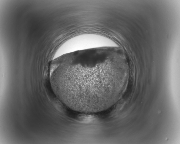 X0000085780507200704091414