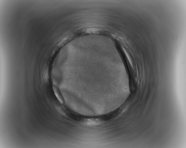 X0000085780508200704091414