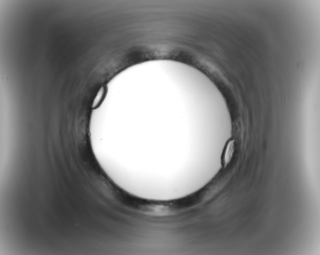 X0000085780509200704091414