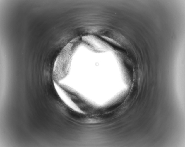 X0000085780510200704091414