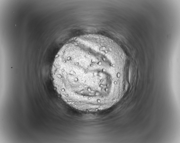 X0000085780511200704091414