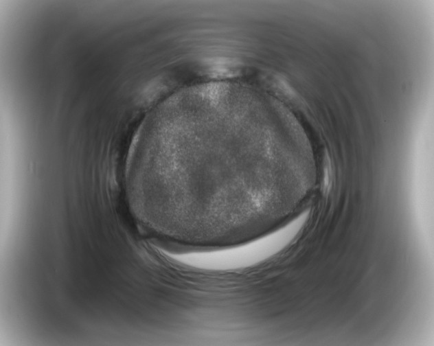 X0000085780512200704091414