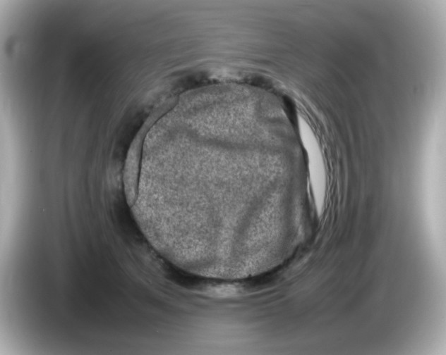 X0000085780513200704091414