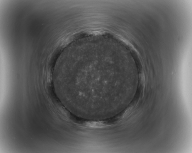 X0000085780517200704091414