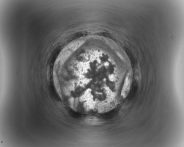 X0000085780519200704091414