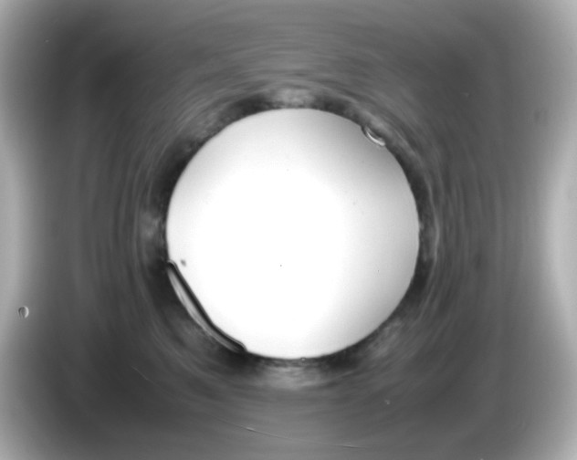 X0000085780521200704091414