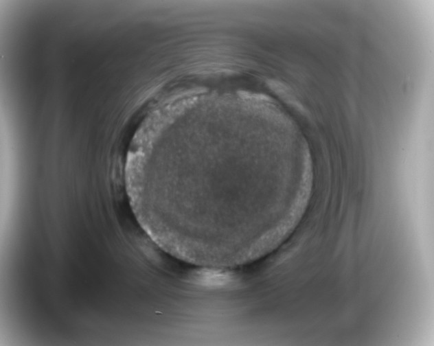 X0000085780528200704091414