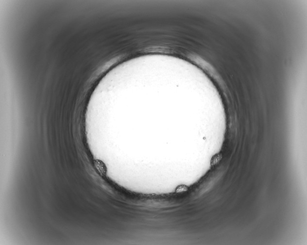 X0000085780529200704091413