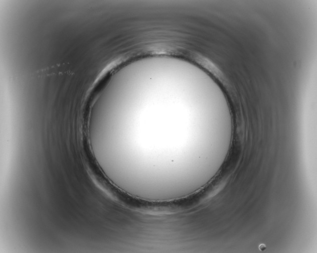 X0000085780530200704091413